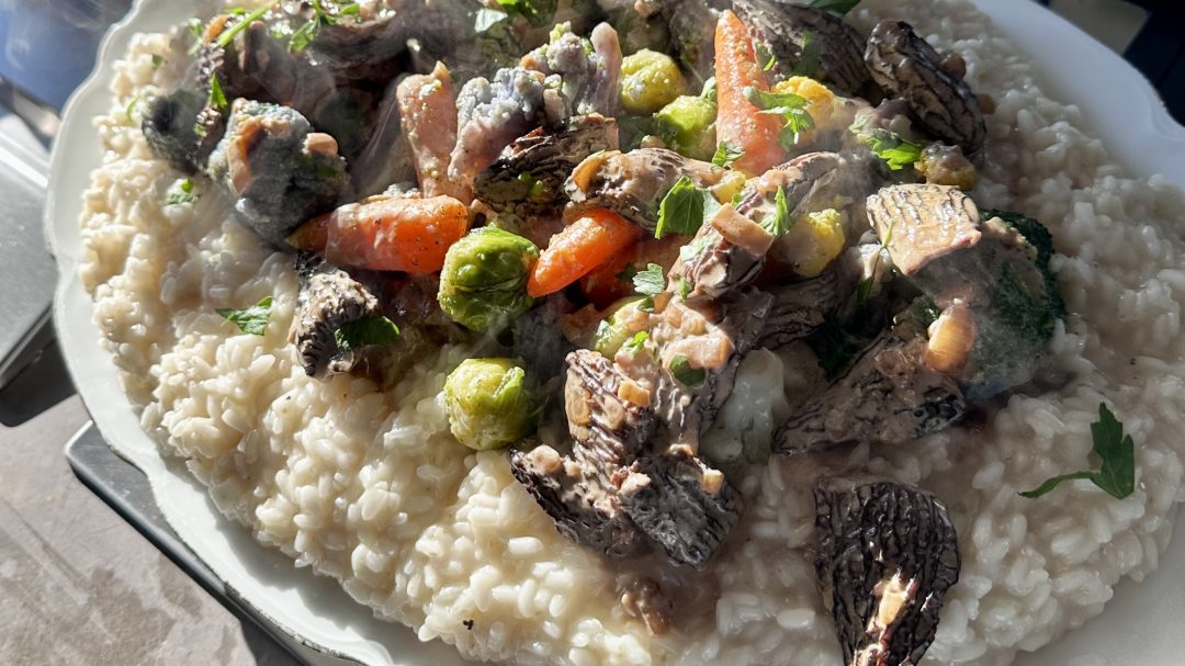 "Risotto cremoso alla parmigiana con funghi Morilles e verdure colorate saltate al burro, servito in un elegante piatto bianco su sfondo rustico."